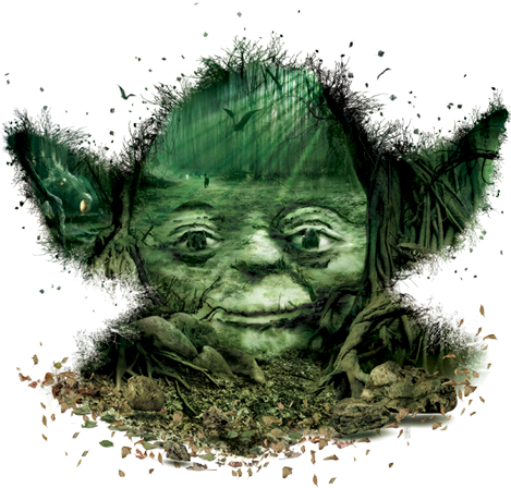 Star Wars Identities (482x601), Png Download