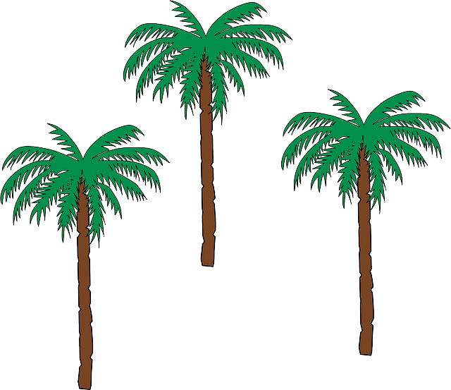 Palm, Tree, Trees - Gambar Kartun Pohon Kurma (640x553), Png Download