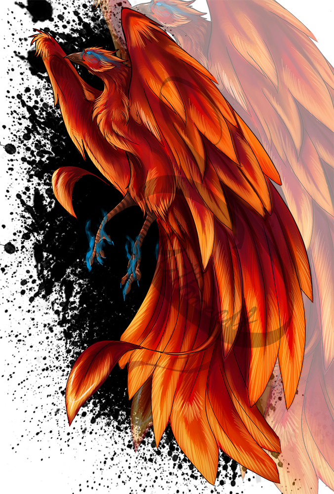 Phoenix [tattoo Design] By Riftwalkerart - Illustration (676x1000), Png Download