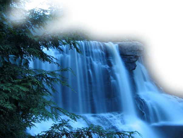 Pensee Pour La Fete Des Peres (603x455), Png Download