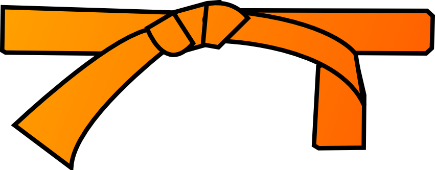 Ceinture Orange - Judo (851x333), Png Download