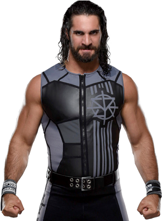 Seth Rollins 2017 Png - Wwe Seth Rollins Png (338x436), Png Download