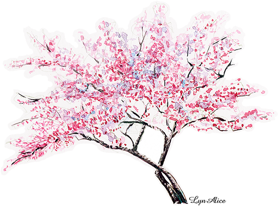 Eastern Redbud (628x461), Png Download