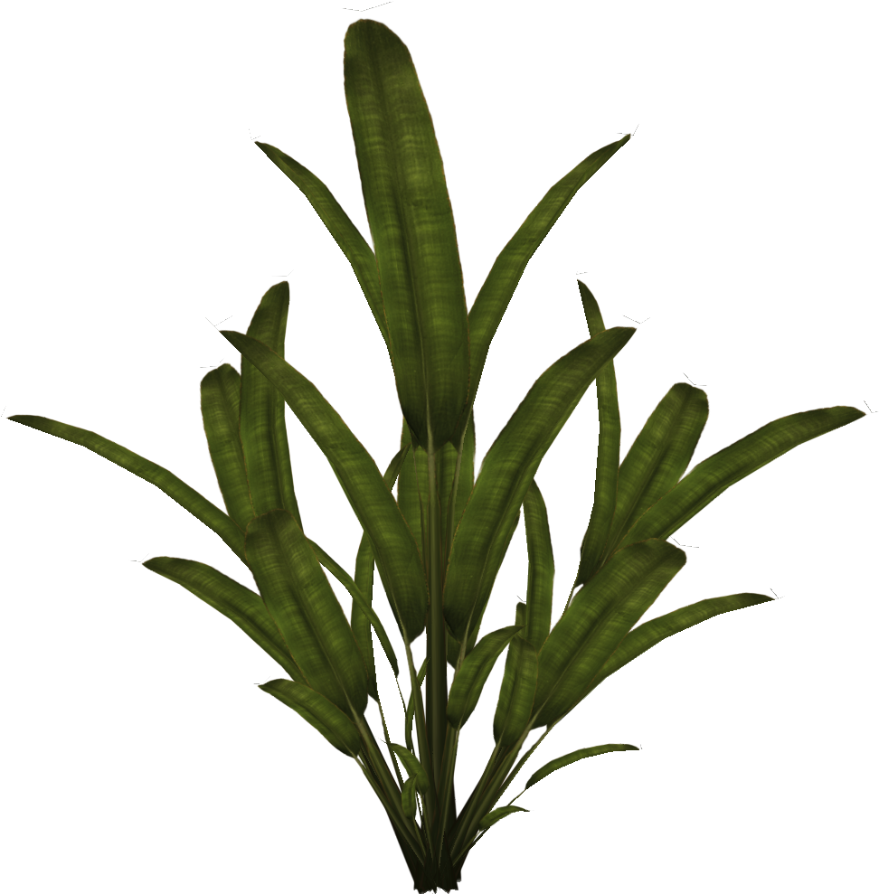 Palmtree - 2d Plant Sprite (1024x1024), Png Download