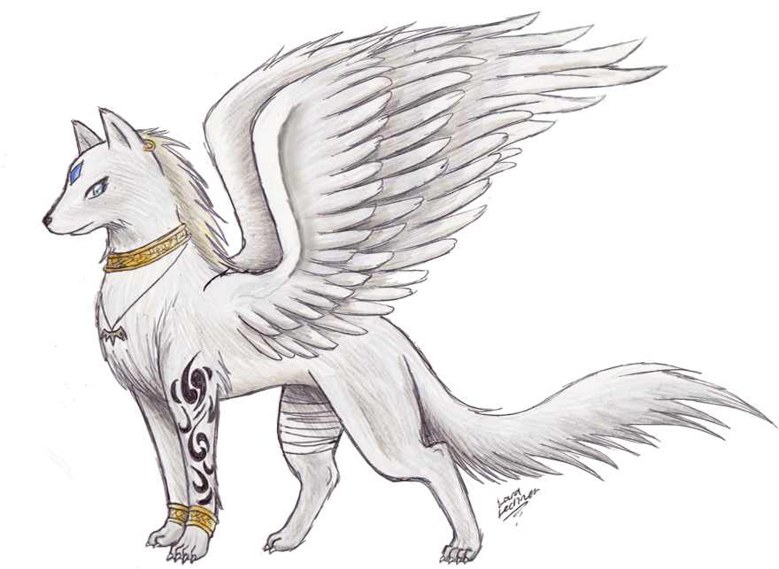Drawn Wings Awesome - Wolf With Wings Drawing (900x666), Png Download