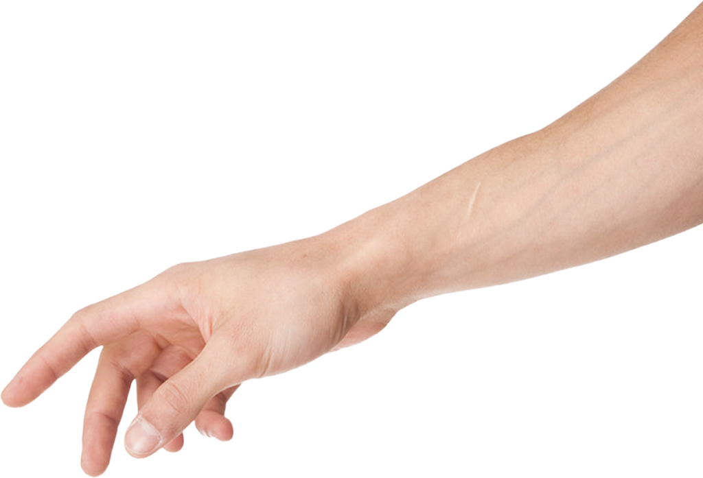 Arm Png Clipart - Arm Png (1024x697), Png Download
