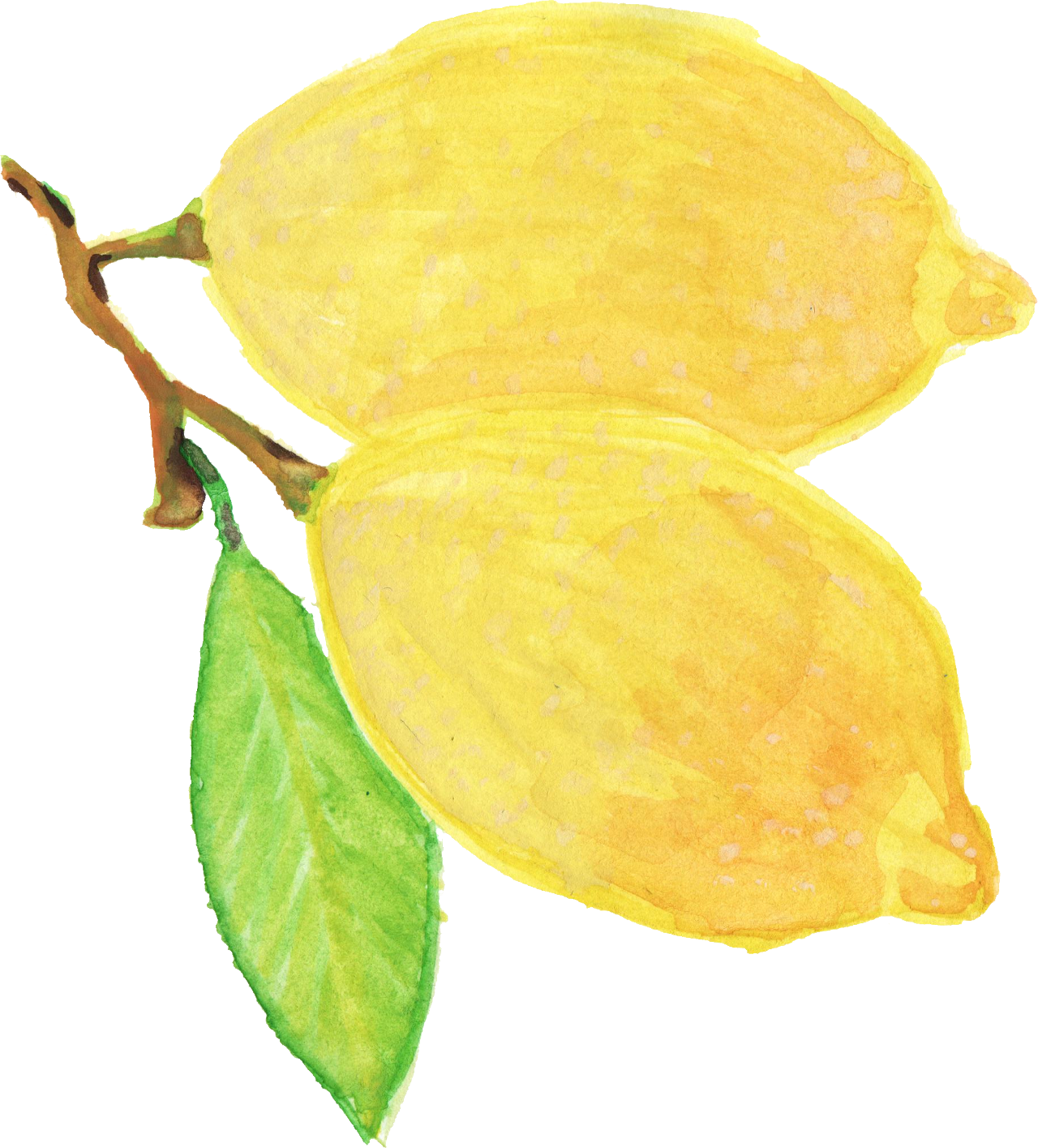 Free Download - Png Watercolor Yellow Flower (1280x1415), Png Download