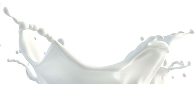 Milk Splash Png Photo - Transparent Milk Splash Png (650x459), Png Download