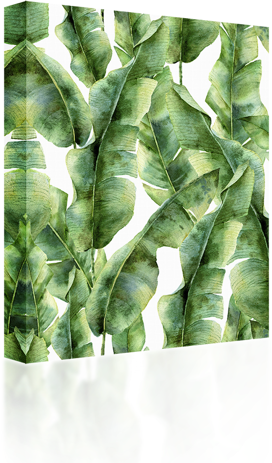 Botanische Print (1024x1024), Png Download