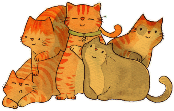 Five By Springonion - Kitten (600x378), Png Download