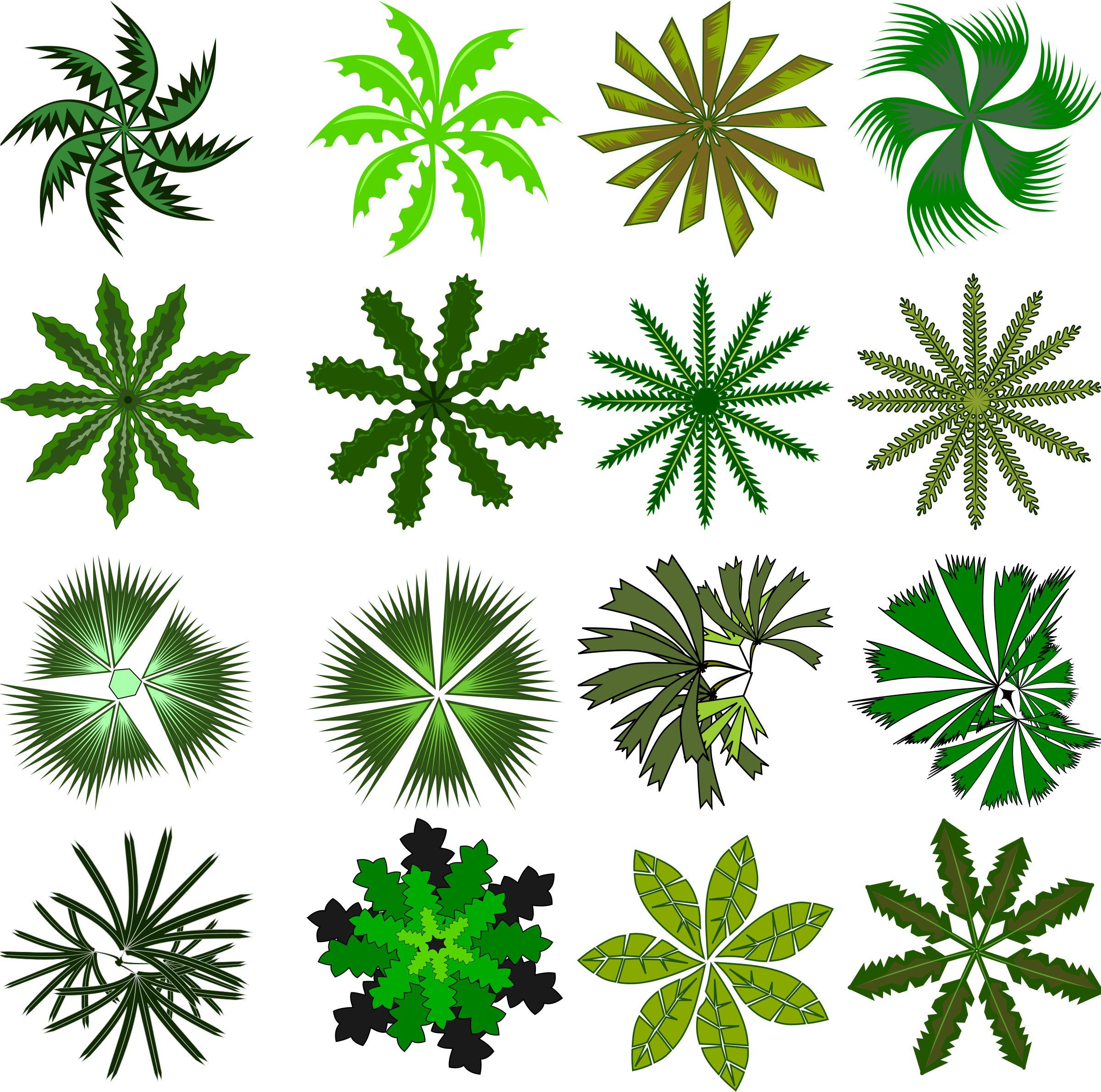 Palm Top View Image Royalty Free Library - Palm Top View (2400x2400), Png Download