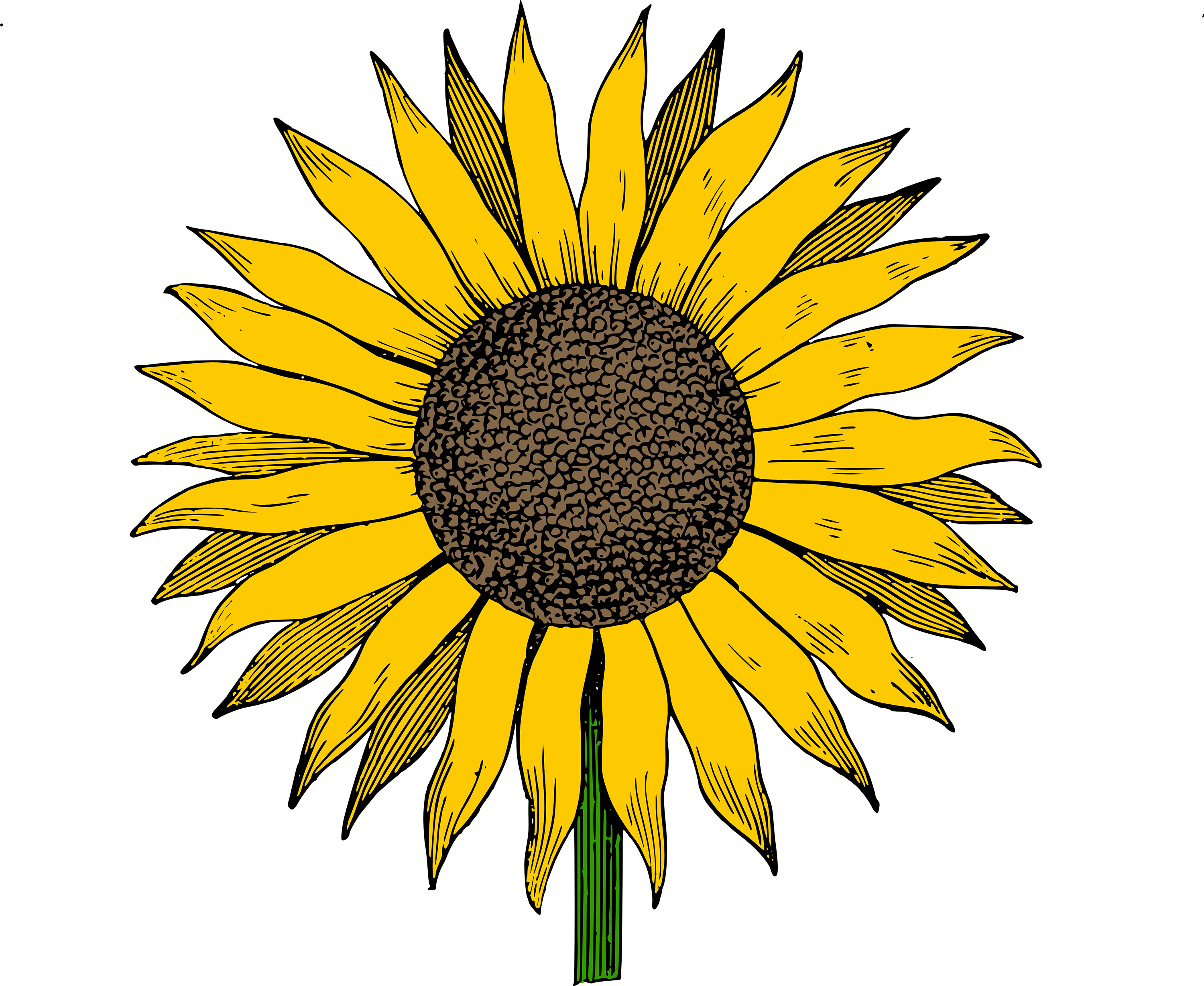 Garden PNG the Sunflower PNG Garden Gift Gardening Gift - Etsy | Sunflower  drawing, Ink pen drawings, Ink drawing