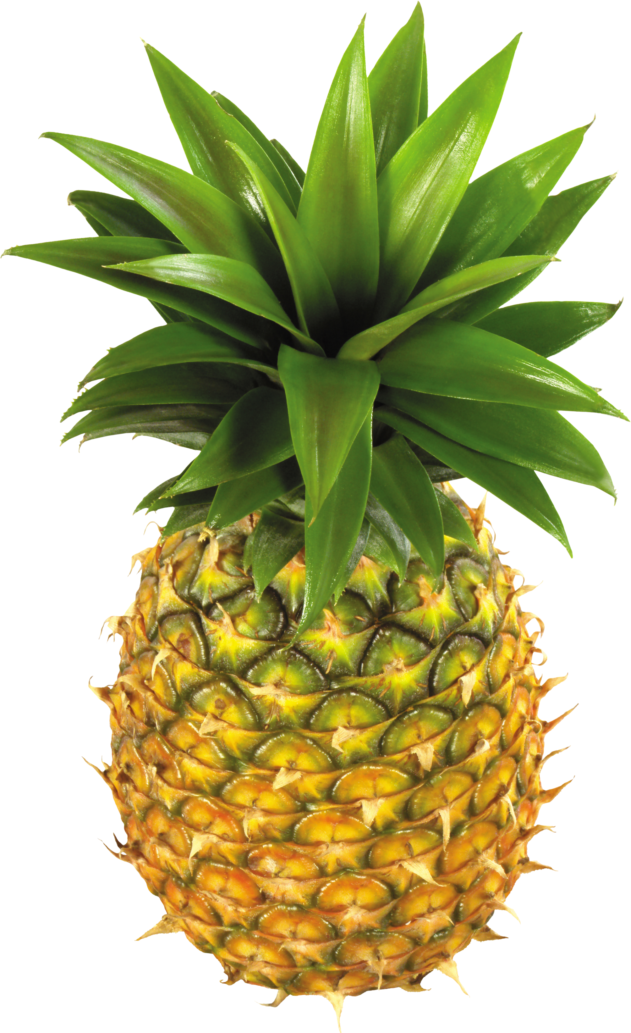 Pineapple Fruit Png Image - Free Clipart Pineapple (2007x3300), Png Download