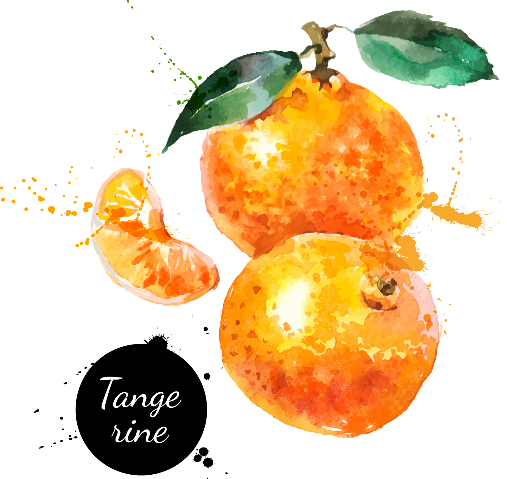 Watercolor Painting Hand Painted Handpainted Oranges - Fruit Oranges Watercolour Painting (1628x1538), Png Download