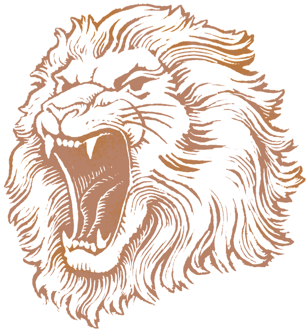 Lion Head Png Image - Lionshead Pilsner - Lion Brewery, Inc. (709x723), Png Download