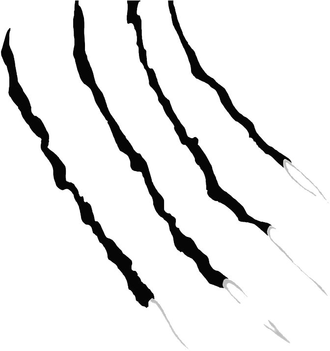 Claw Scratches Png Clipart - Tiger Scratch Png (1024x768), Png Download