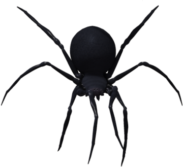 Black Widow Spider Png Image - Black Widow Spider Png (417x358), Png Download