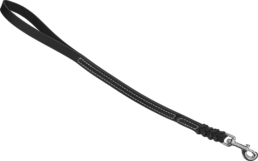 Post - Dog Leash Png (900x562), Png Download