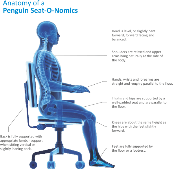 Aegis Utmost Care - Bac< Backboard Portable Back Posture Support ,black (598x585), Png Download