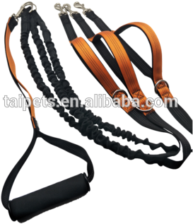 2018 Hotsale 3 Way Dog Coupler Leash Non Tangle Swivel - Rein (350x350), Png Download