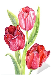 Tulipanes En Acuarela Png (400x400), Png Download