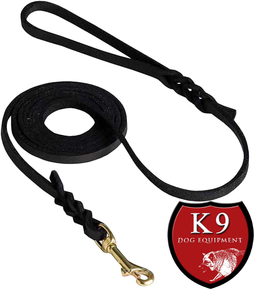 Braided Leather Show Dog Leash - Usb Cable (600x600), Png Download