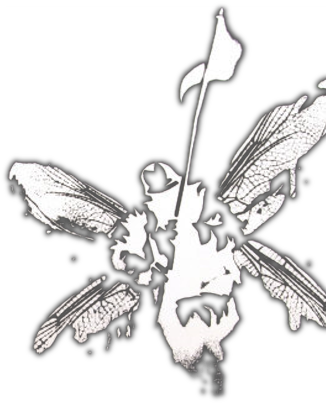 Linkin Park Soldier Logo Png (488x473), Png Download