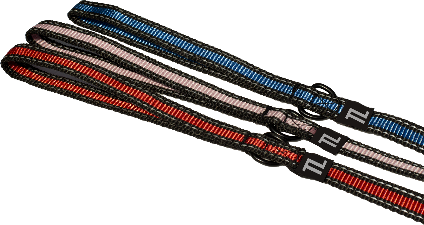 1 (1460x774), Png Download