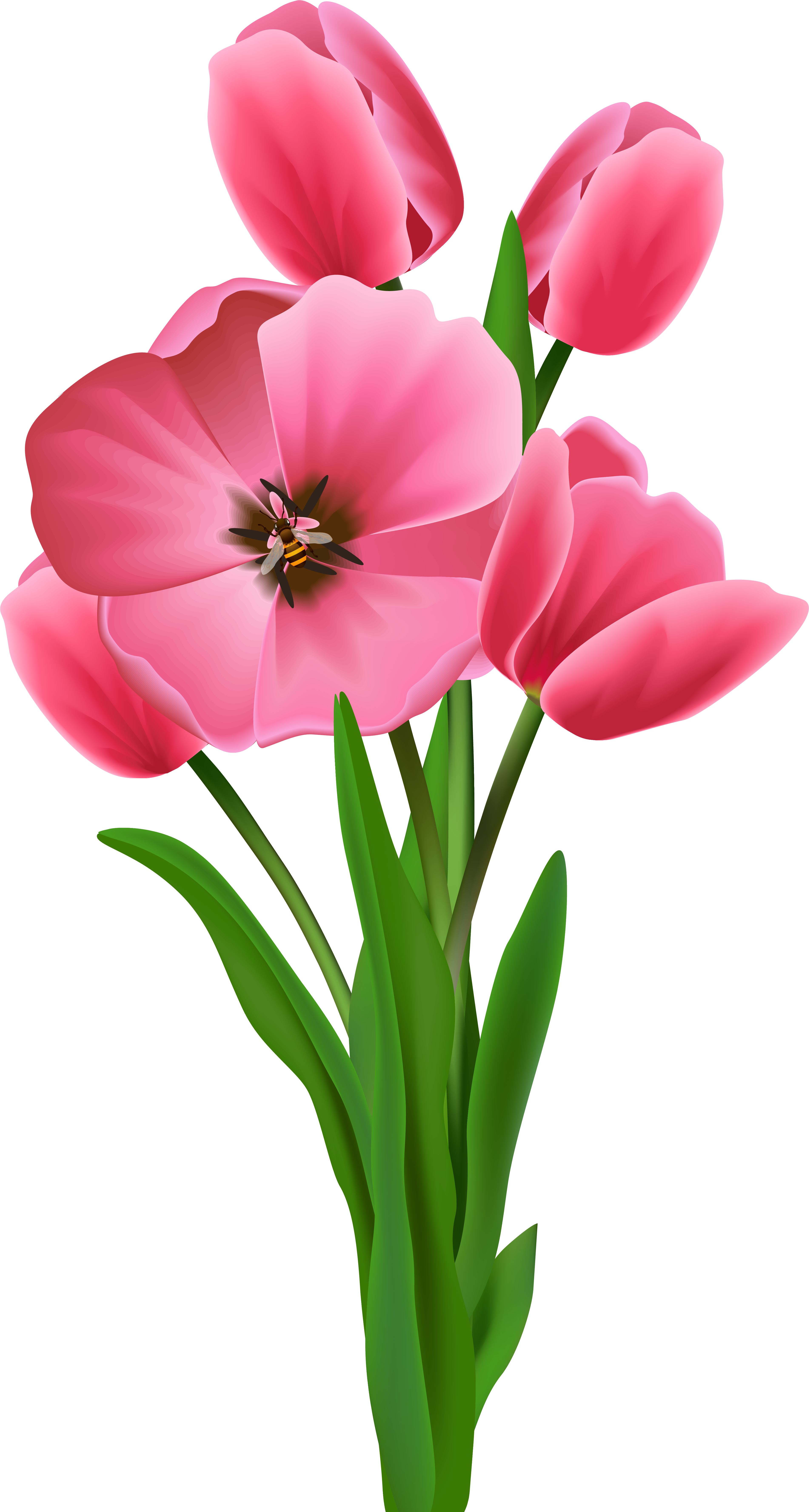 Transparent Image Tulipany Pinterest - Tree Flower Clipart Png (326x600), Png Download