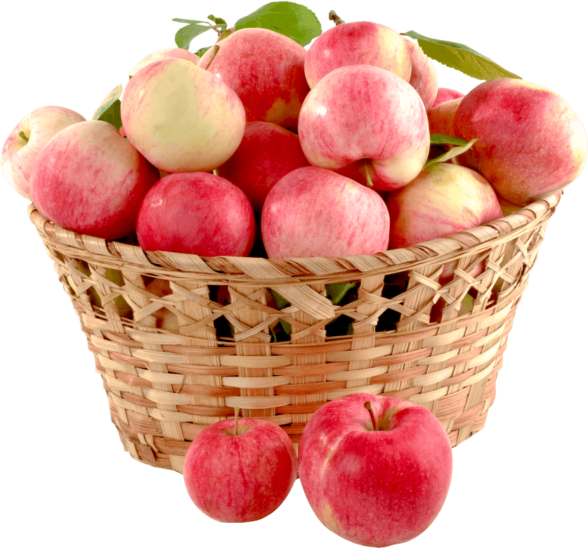 Free Png Apple Basket Png Images Transparent - Apple Png (851x797), Png Download