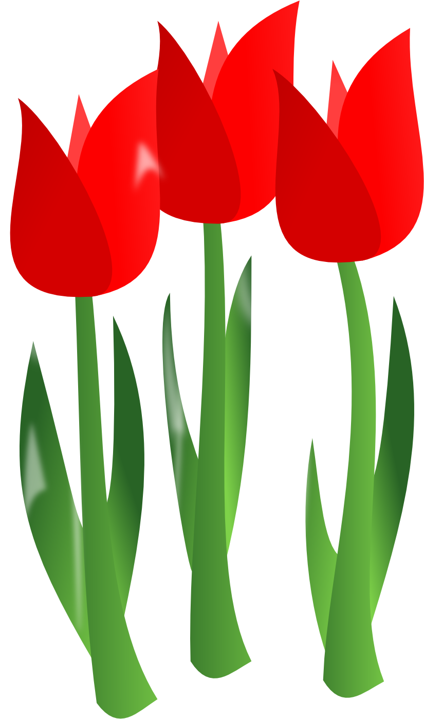 Red Tulips Svg Clip Arts 348 X 592 Px (348x592), Png Download