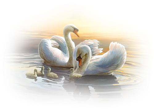 This Photo Was Uploaded By - O Ljubvi I Seksual'noj Jenergii: О Любви И Сексуальной (500x355), Png Download