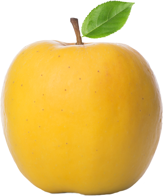 A New Sweet, Crispy Apple With Exceptional Flavor, - Russeting (700x801), Png Download