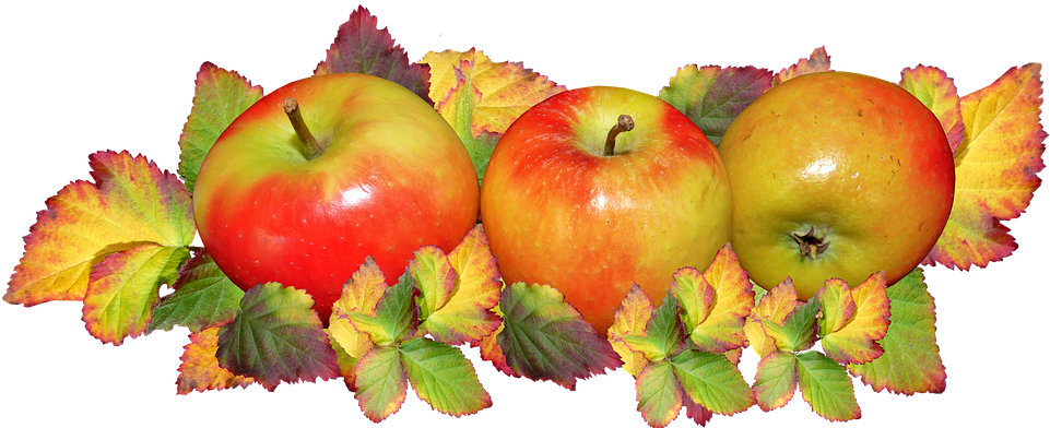 Fruit, Apples, Autumn, Leaves, Food, Harvest Festival - Fall Apples And Leaves (960x402), Png Download