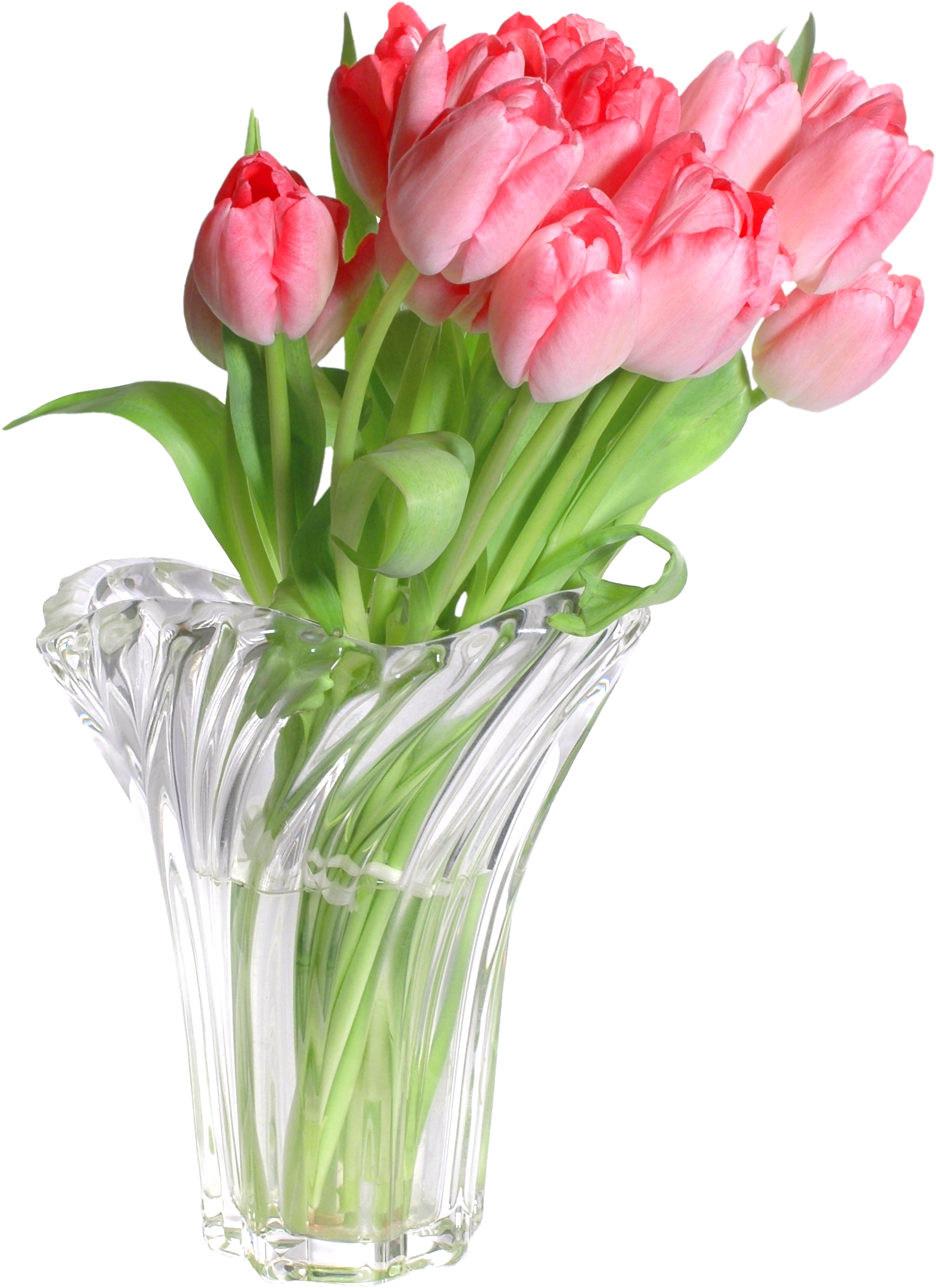 Pink Tulips In Vase Png Clip Art Image Gallery - Pink Flowers In Vase Png (1782x2404), Png Download