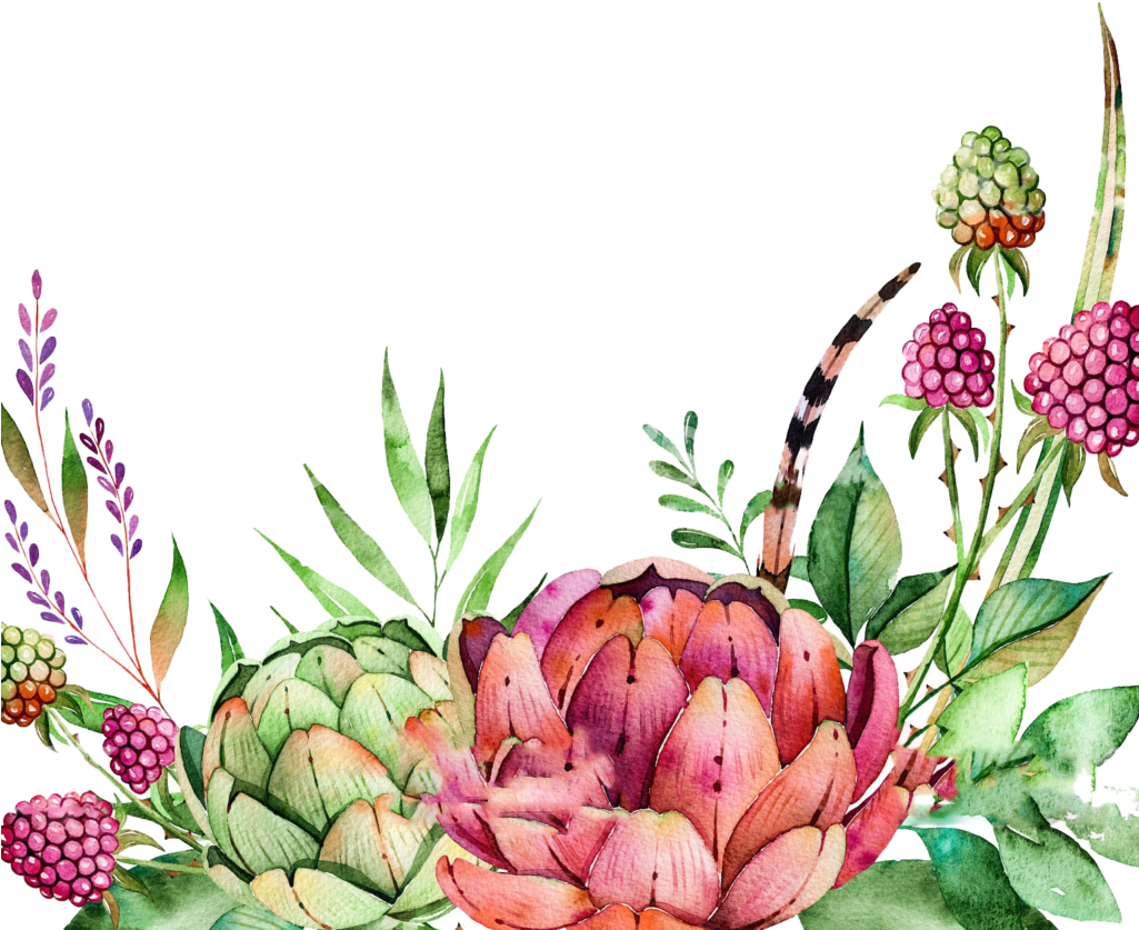Free Watercolor Crane Pattern Png - Floral And Succulent Clipart (1024x872), Png Download