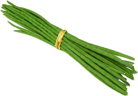 Download Drumstick Png Image - Drumsticks Vegetables (500x370), Png Download