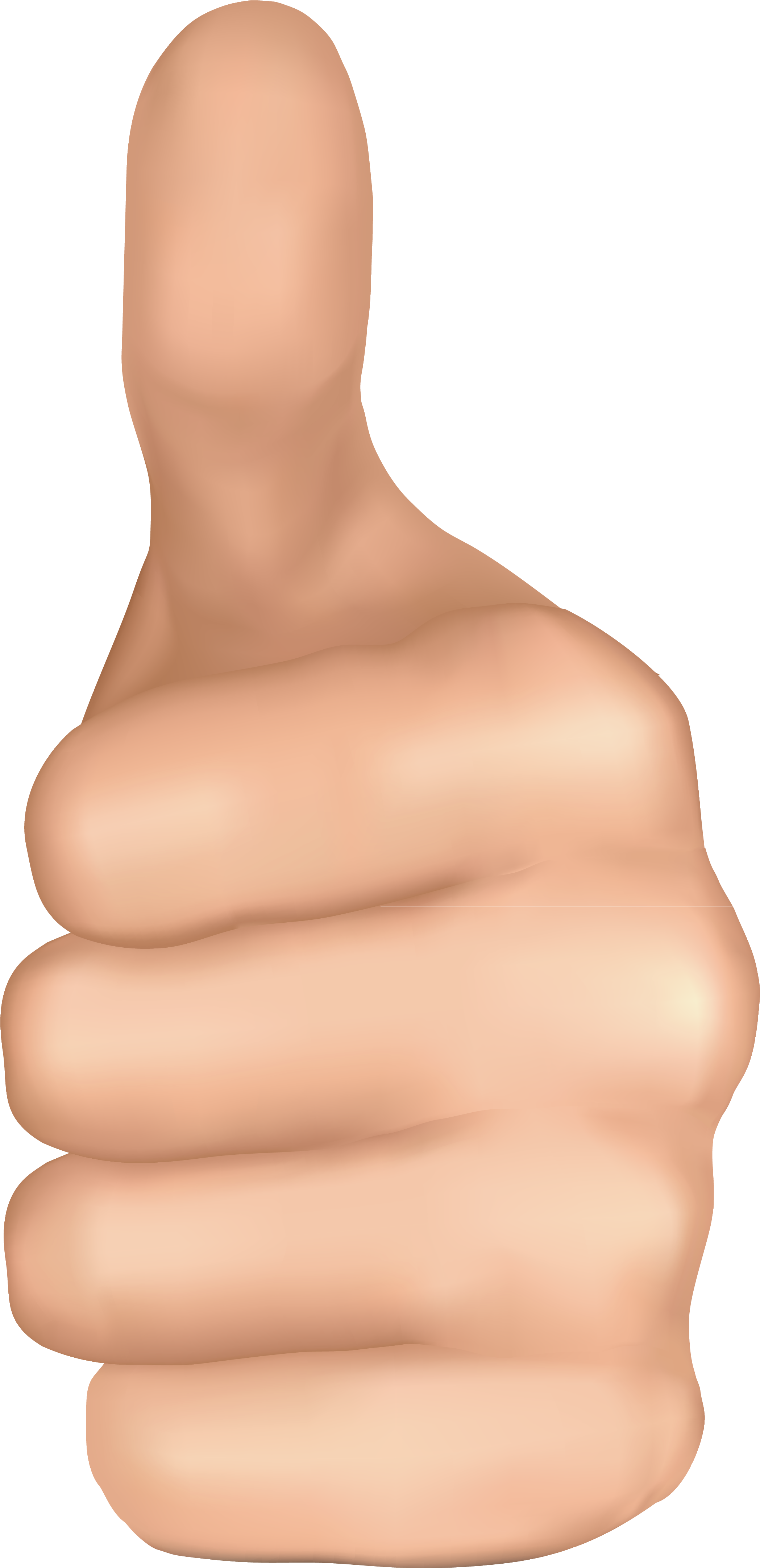 Up Hand Png Image Gallery Yopriceville High - Hand Thumbs Up Png (2300x4528), Png Download