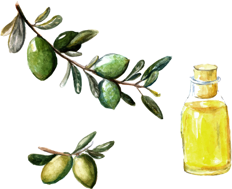 Picture Free Library Argan Oil Watercolor Painting - Measureable Difference Argan No 1 Moisture Repair Body (1024x1024), Png Download