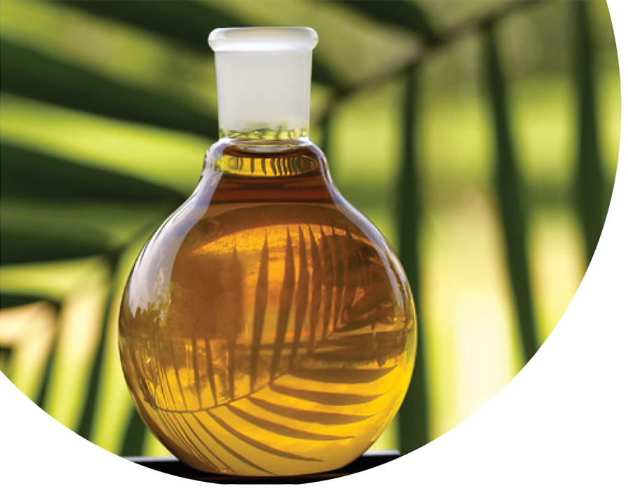 Palm Oil Png - Palm Oil No Background (898x705), Png Download