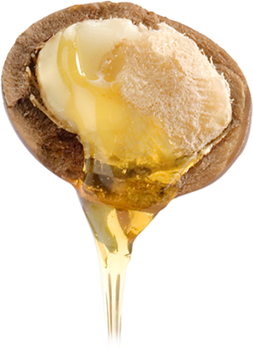 The Half Truth (600x600), Png Download