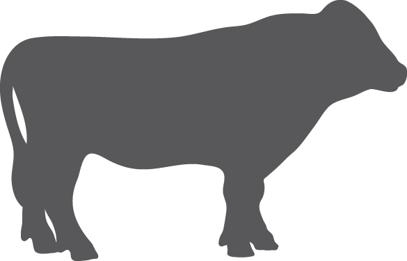 Grey Cow Icon Png (585x375), Png Download
