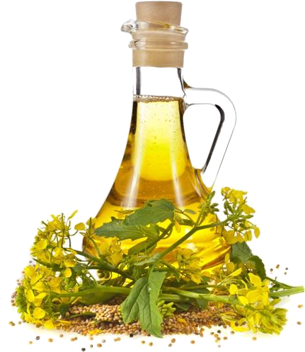 Wintergreen Oil - Mustard Oil (500x500), Png Download