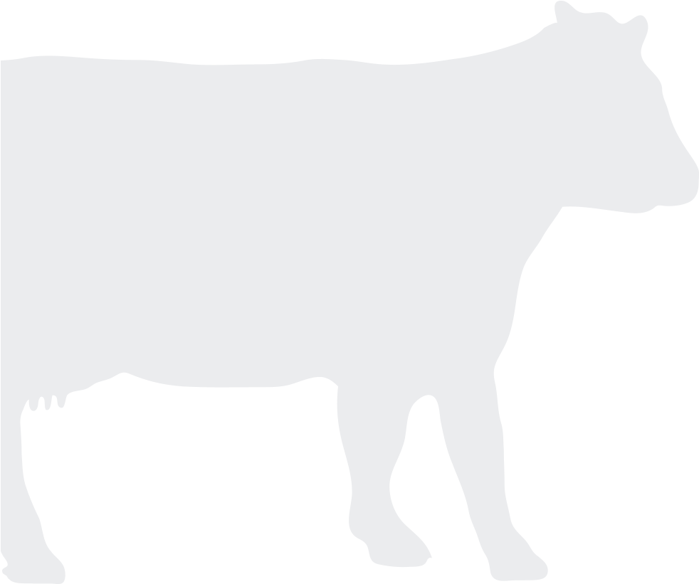 Cow Silhouette - Cattle (1000x1143), Png Download