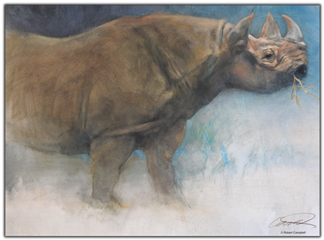 Black Rhino Print - Sumatran Rhinoceros (600x399), Png Download