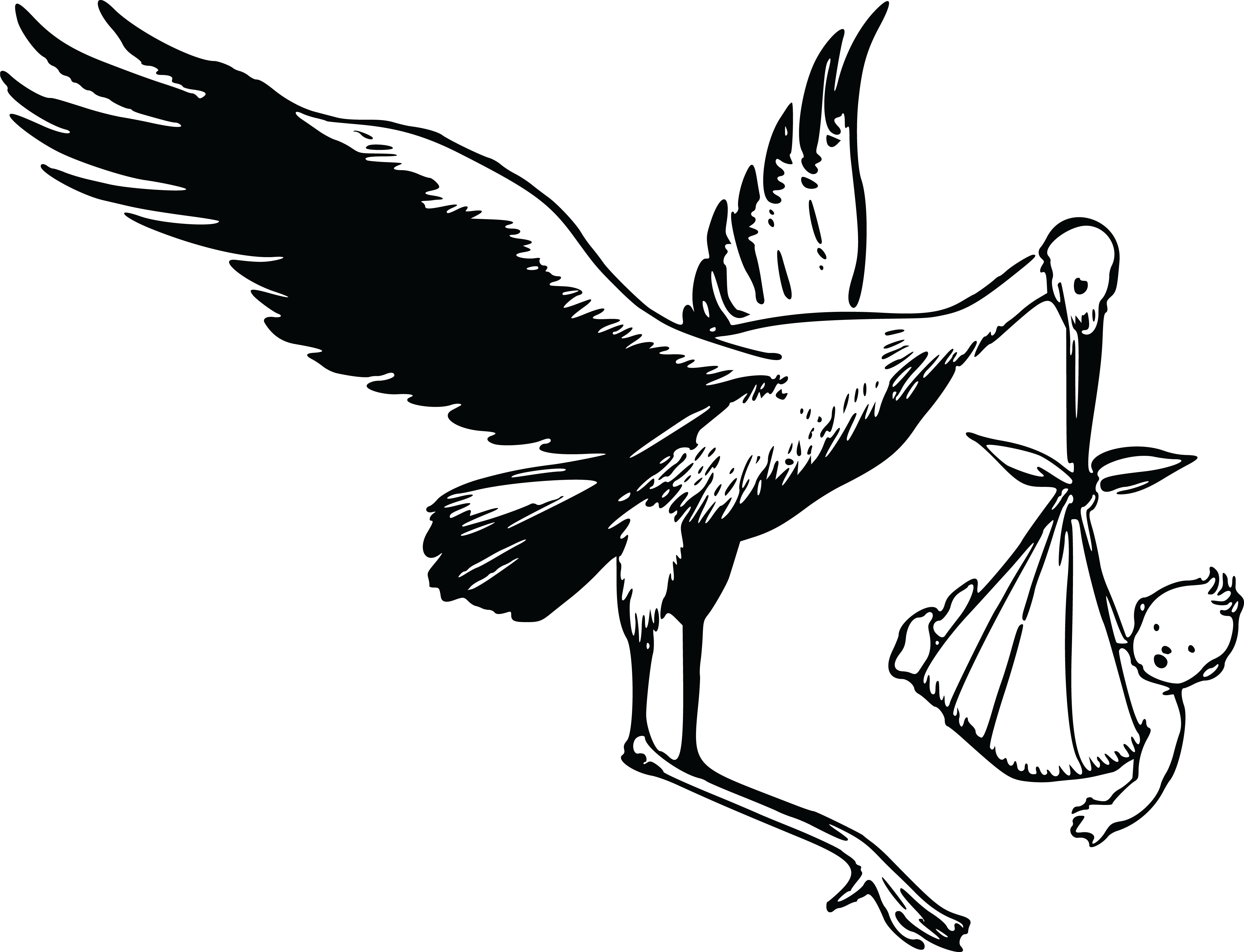 Free Clipart Of A Stork And Baby - Black And White Stork With Baby (4000x3062), Png Download