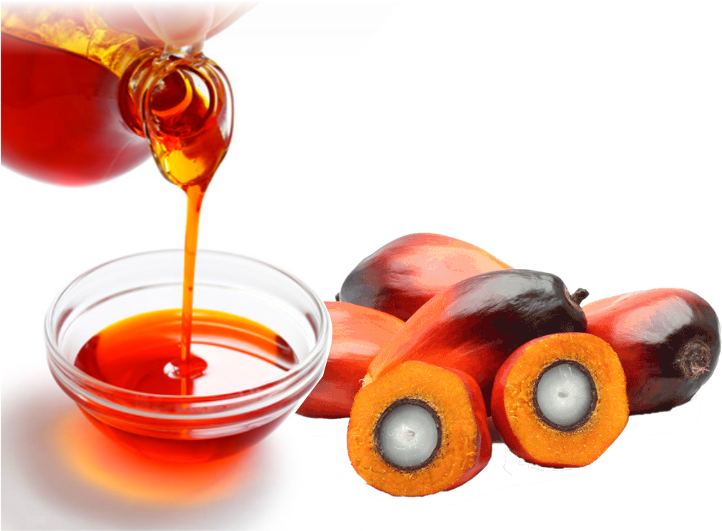 Home/vegetable Oils/rdb Palm Oil - Palm Oil Images Transparent (1025x774), Png Download