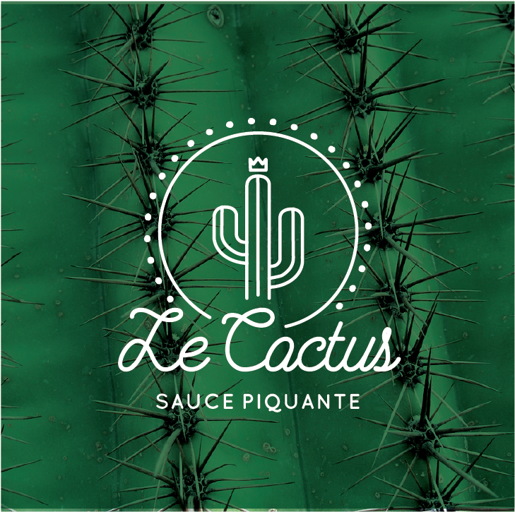 Logo Pour Sauce Piquante - Green Cactus Skin And Thorns - Southwestern Galaxy (802x793), Png Download