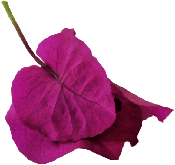 Burgi 1 Weich Watercolor - Watercolor Painting (634x562), Png Download