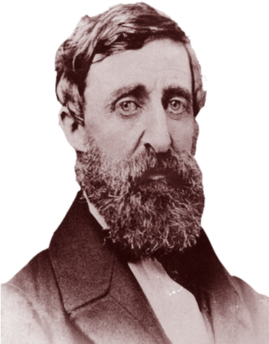 Picture - Political Thought Of Henry David Thoreau: Privatism (383x502), Png Download